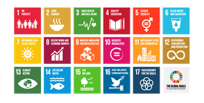 SDG squares