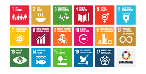 SDG squares