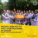 WAGGGS launches its first STEM Programme