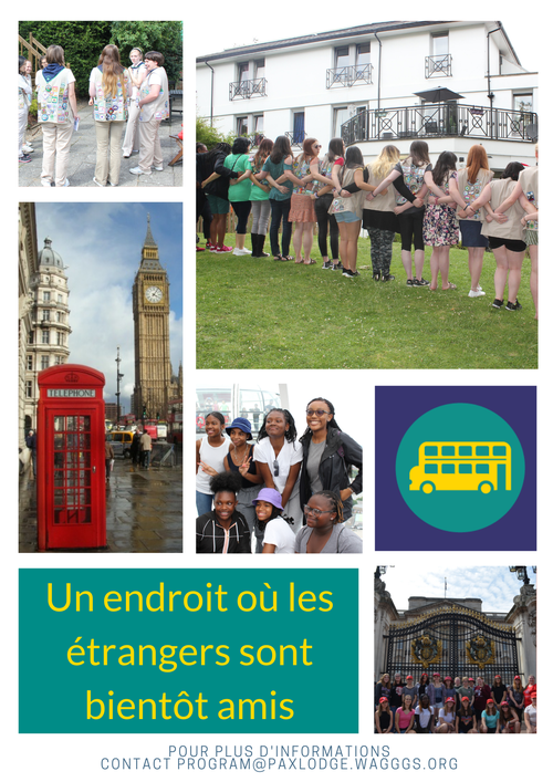 French flyer.png