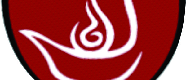 Logo Guias Mayores