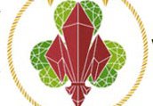 Latvia (LSGSO) logo