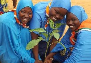 Niger 2017 - World Thinking Day planting